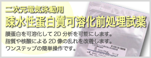 �V���i�̂��Љ�b�񎟌��d�C�j���p/�a�����`�����n���O��������